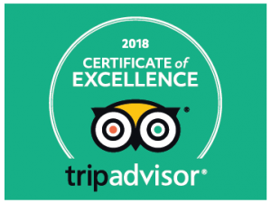 TripAdvisor Certificate of Excellence with owl logo