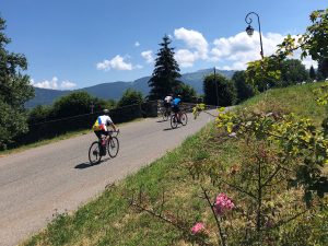 Cyclists on a mountain road