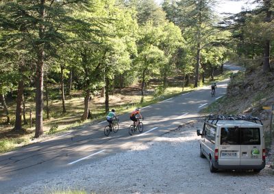 Cyclists in Provence countryside