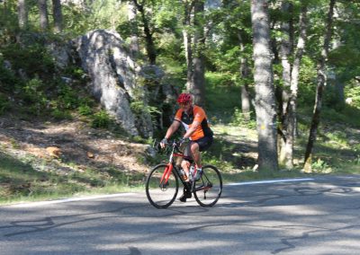 Cyclists in Provence countryside