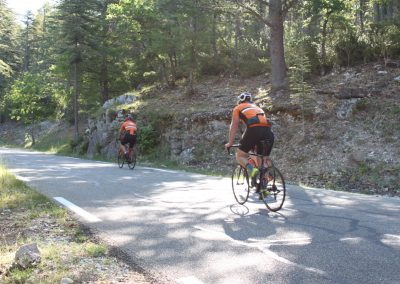 Cyclists in Provence countryside