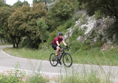 Cyclists in Provence countryside