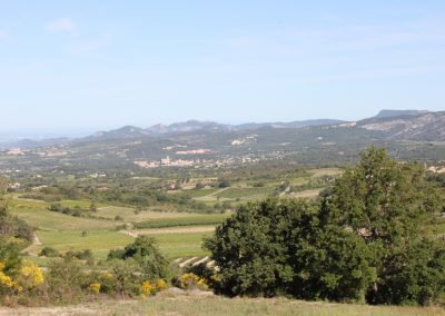 Scenery in Provence countryside to Mont Ventoux