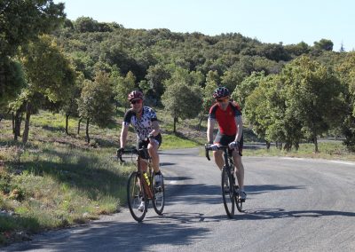 Cyclists in Provence countryside