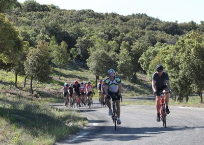 Cyclists in Provence countryside