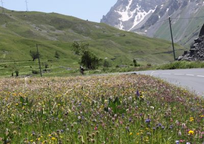 Cyclists riding on a mountain road